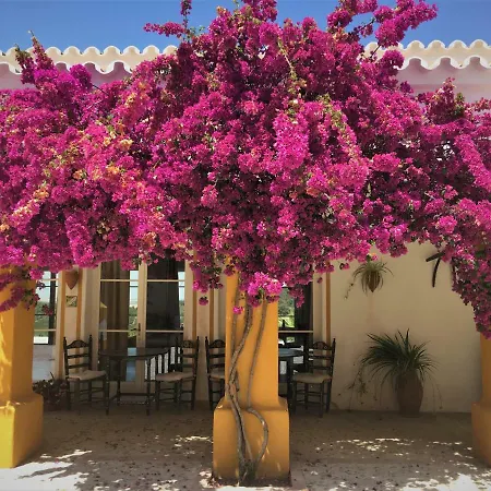 Hacienda La Morena Montellano
